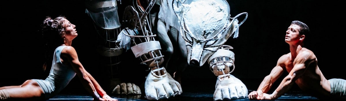 recirquel solus amor festspielhaus st pölten