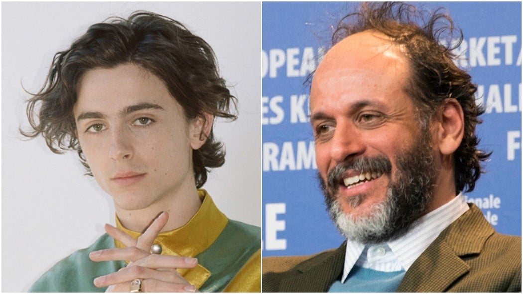 timothée chalamet luca guadagnino boness all