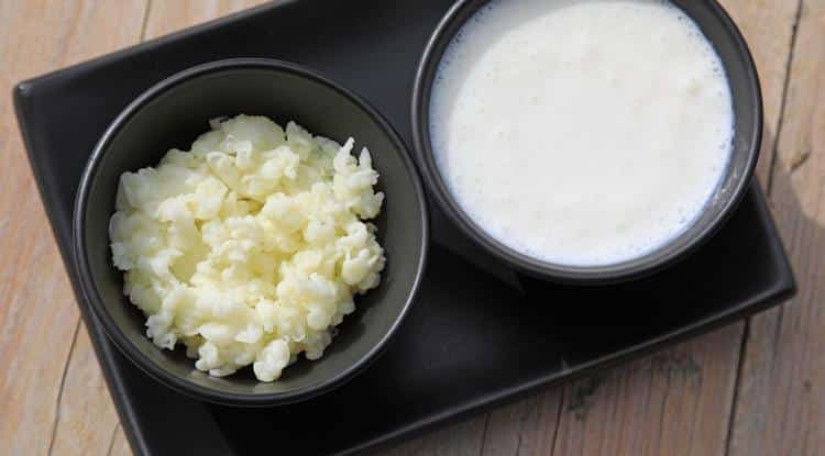 kefir emesztes gyomor belek