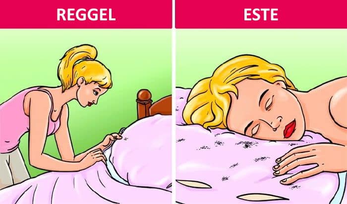 agy, alvas, reggeli agy bevetes, porotka,