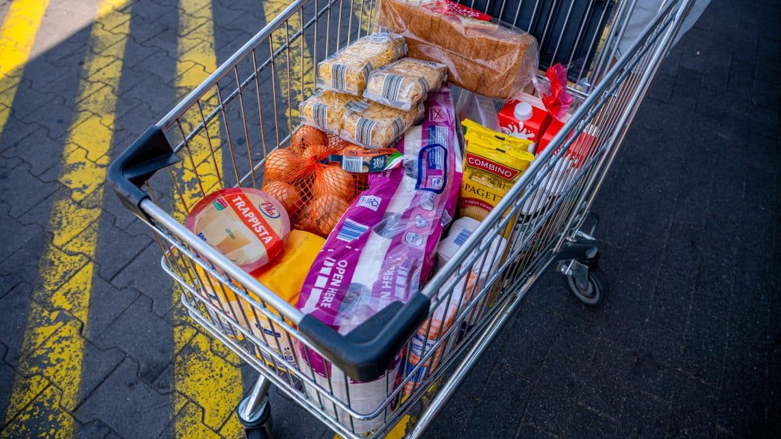 aldi lidl penny tesco 2024