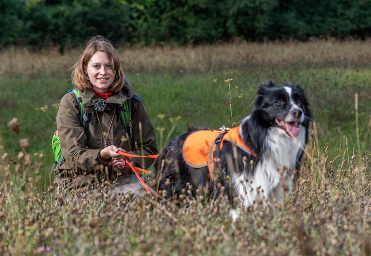 kutyak szaglasa annegret grimm seyfarth border collie
