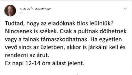 munka, munka vilaga, tapasztalat, munka erdekessegek 24