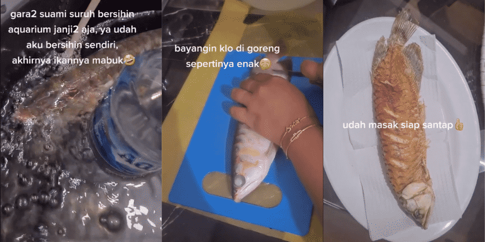 arowana sarkanyhal mia kurniawan