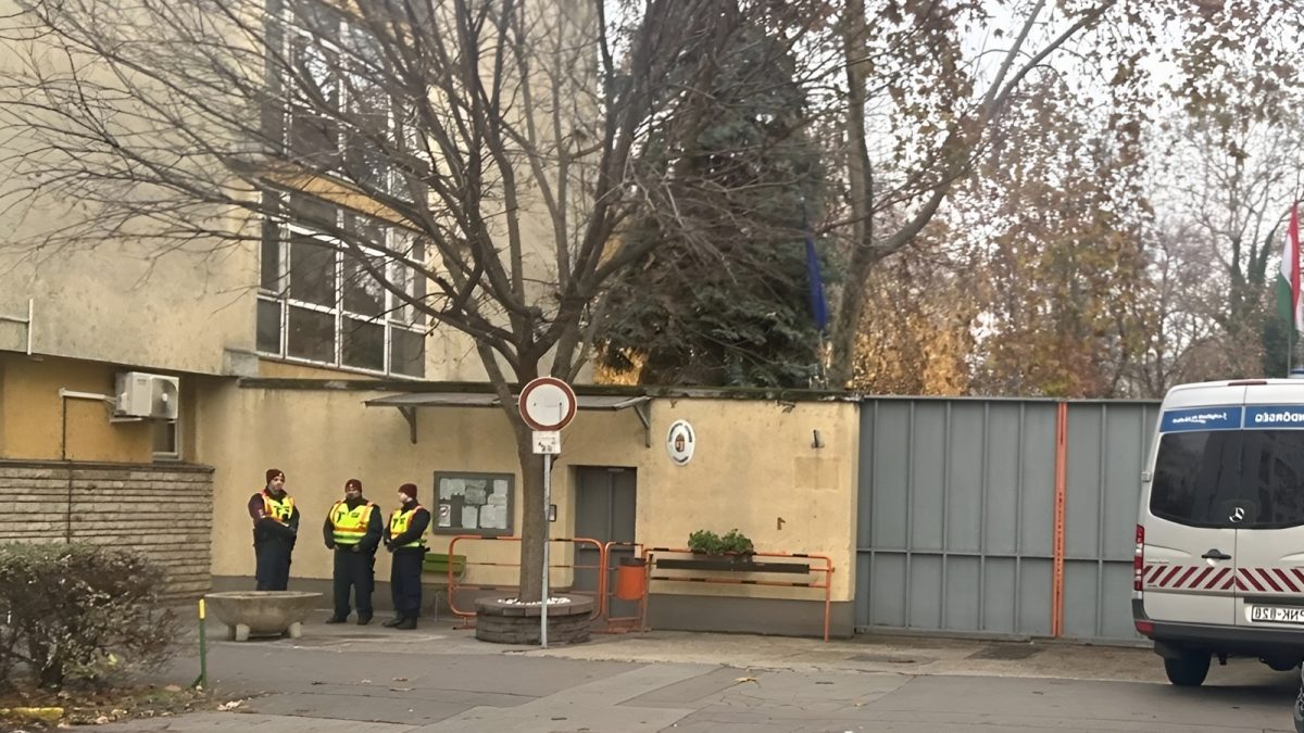 kek feny archivum szolo utca riport