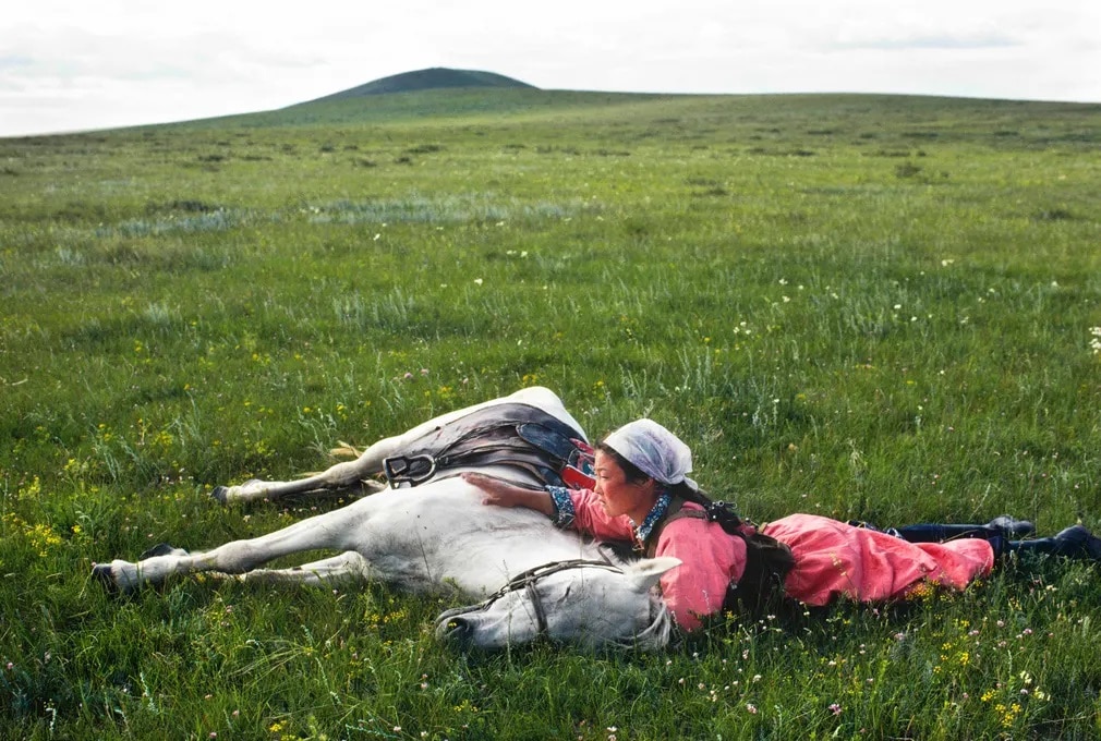Eve Arnold, fotográfus, fotográfia, foto, mongolia, lo, kikepzes, milicia, nap fotoja