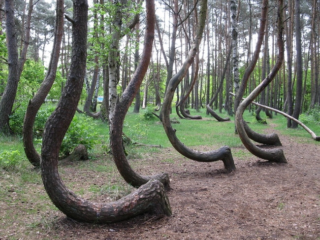 termeszeti csodak, termeszeti erdekessegek4