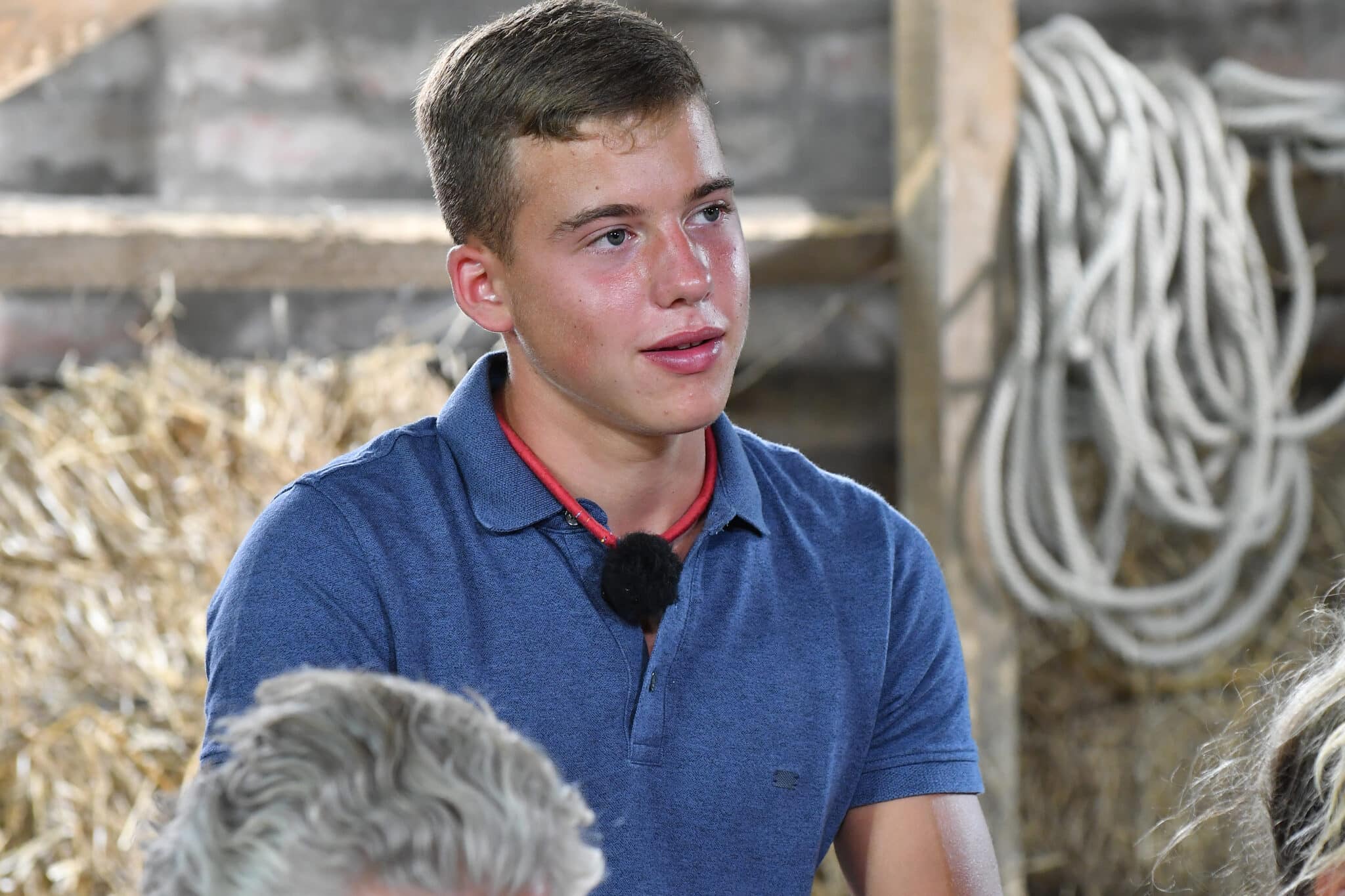 ifj. schobert norbi baratsag baratok