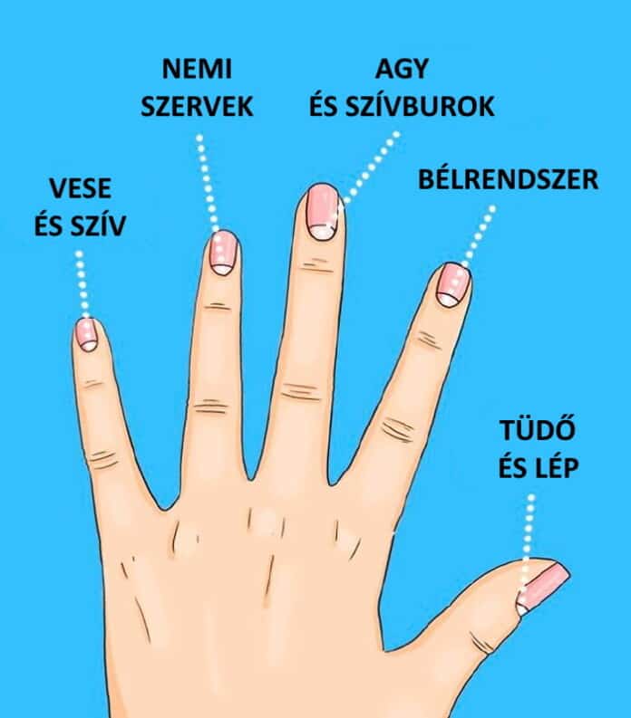 korom egeszseg, betegseg jelei a kormon, egeszseges korom, korom 6