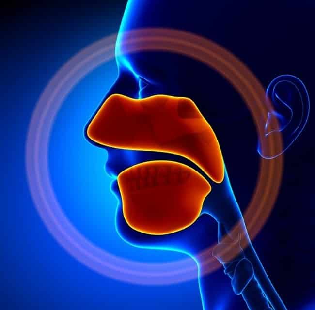 szívroham szívroham jelei test jelzése egészség egészségügyi probléma