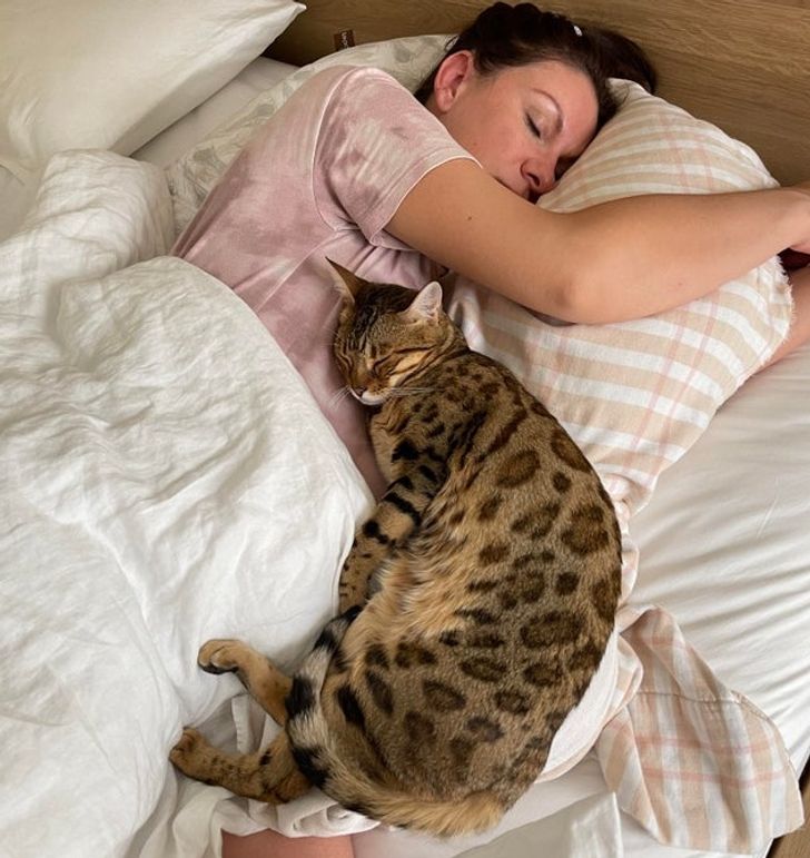 emberek haziallatok kapcsolatai 4
