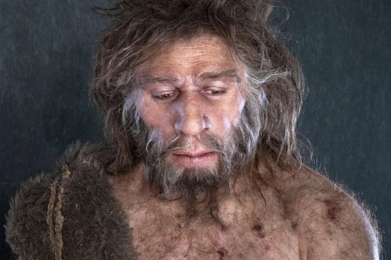 neandervolgyi ember osember