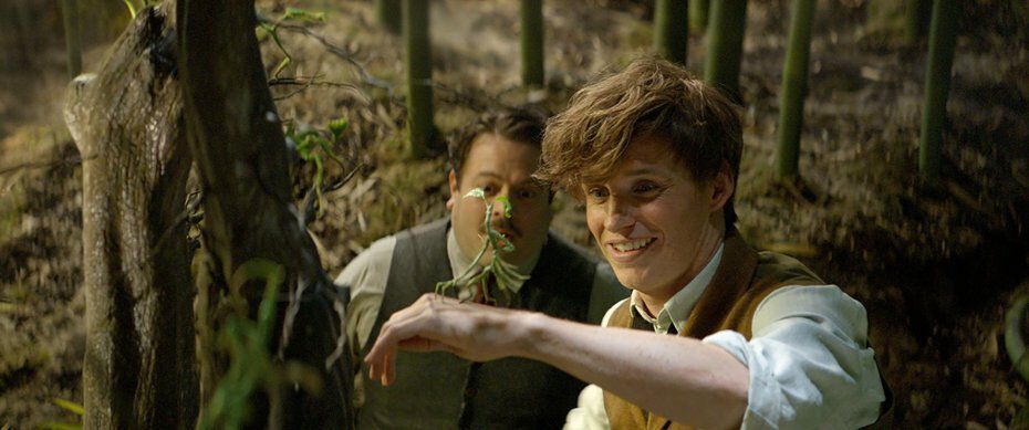 Eddie Redmayne és Dan Fogler a Legendás állatok és megfigyelésükben