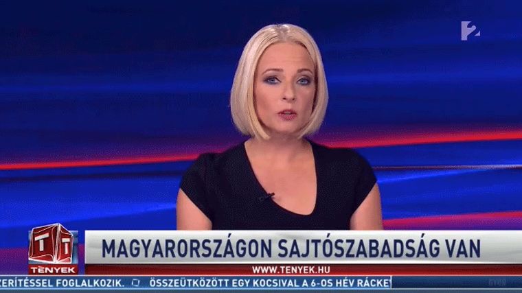 tv2 tenyek musorvezetok allami reklambevetelek