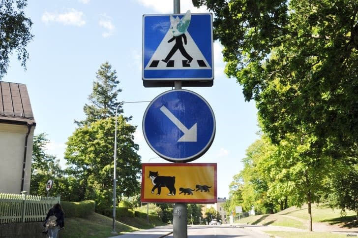 svedorszag furcsasagok 6