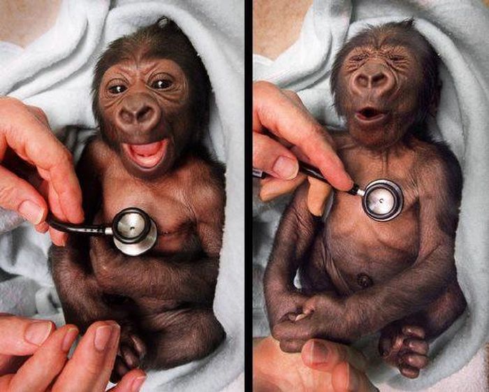 meghato-foto-amitol-a-sziv-meglagyul-18